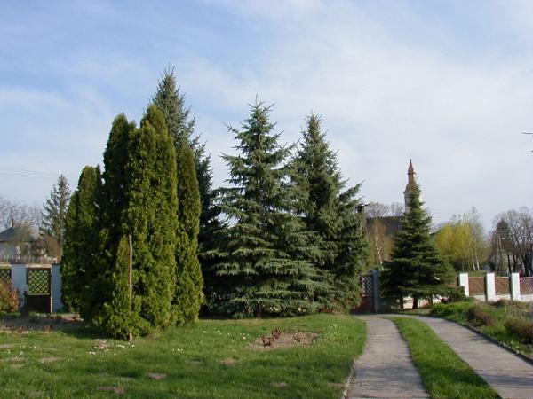 Oázis Panzió Oázis Panzió