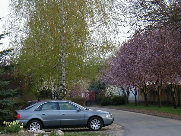 Oázis Panzió Oázis Panzió