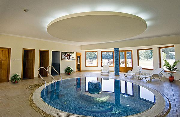 Panzó uszi Panzó uszi